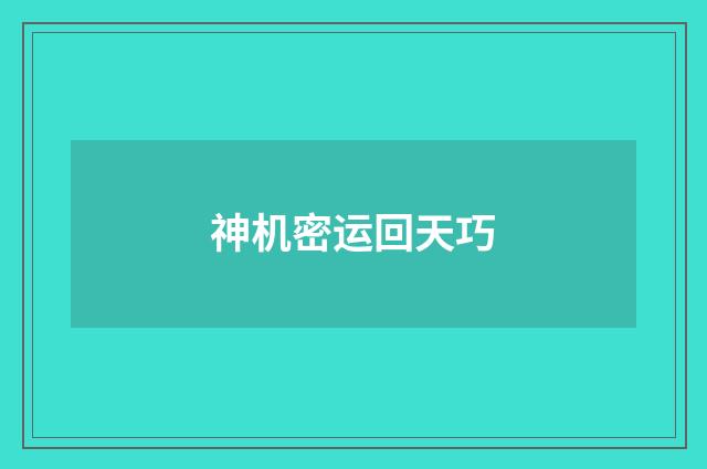 神机密运回天巧