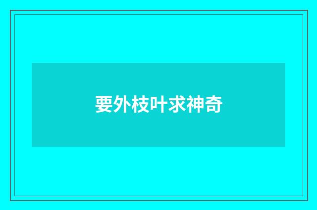 要外枝叶求神奇