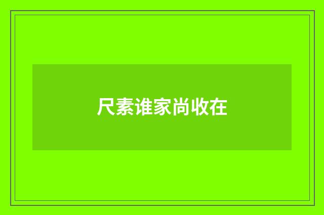 尺素谁家尚收在
