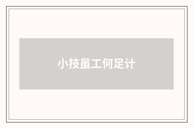 小技虽工何足计