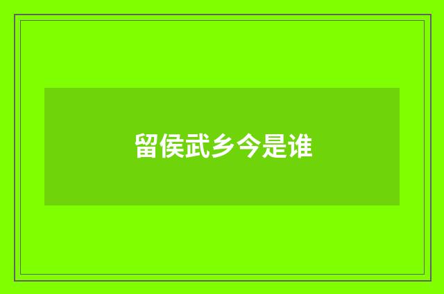 留侯武乡今是谁