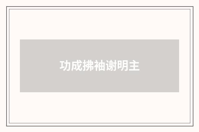 功成拂袖谢明主