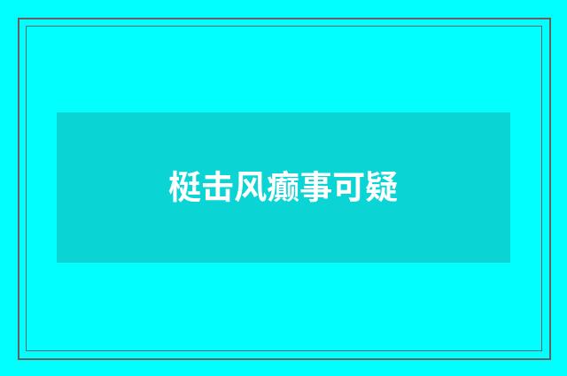 梃击风癫事可疑