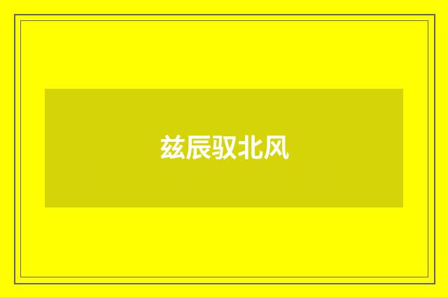 兹辰驭北风