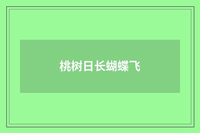 桃树日长蝴蝶飞