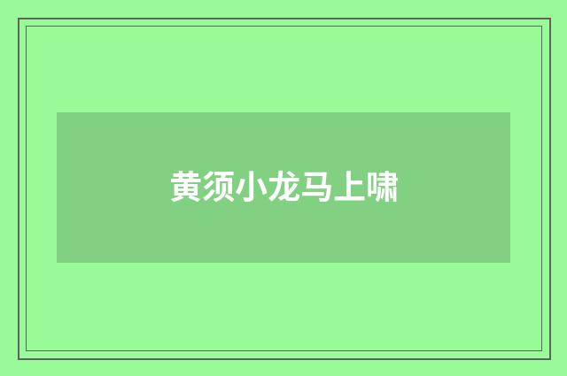黄须小龙马上啸