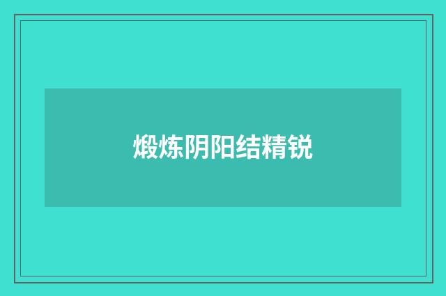 煅炼阴阳结精锐