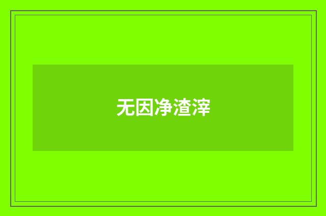 无因净渣滓