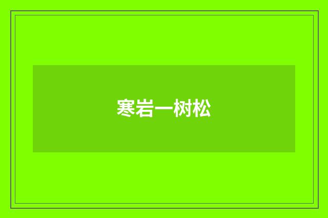 寒岩一树松