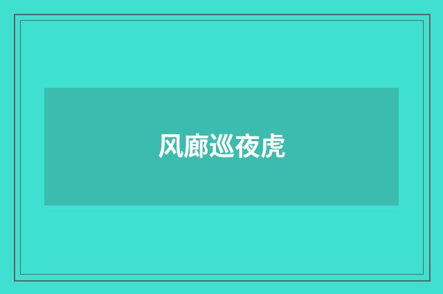 风廊巡夜虎