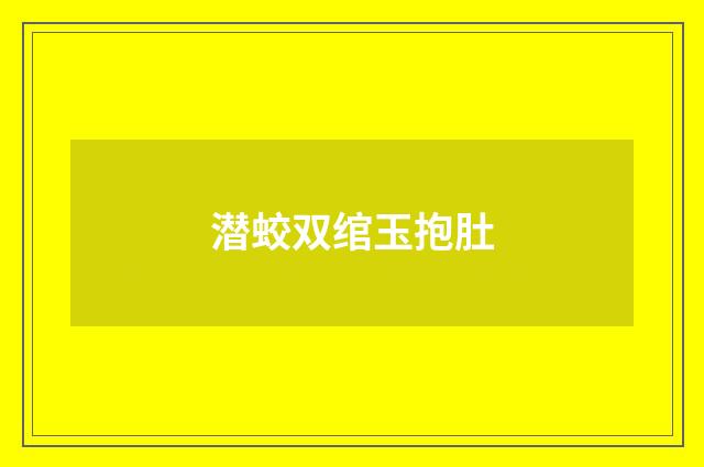 潜蛟双绾玉抱肚