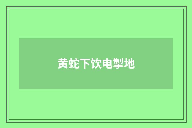 黄蛇下饮电掣地