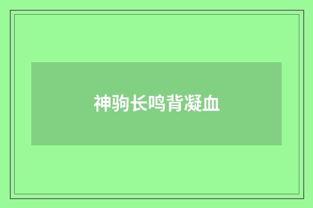 神驹长鸣背凝血