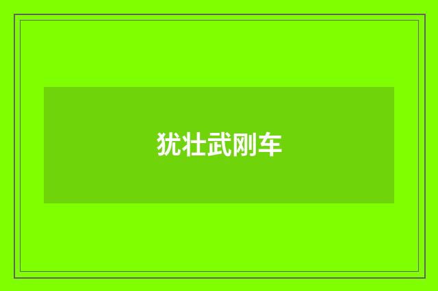犹壮武刚车