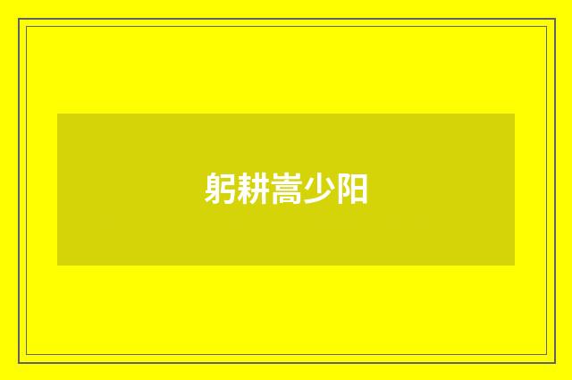 躬耕嵩少阳