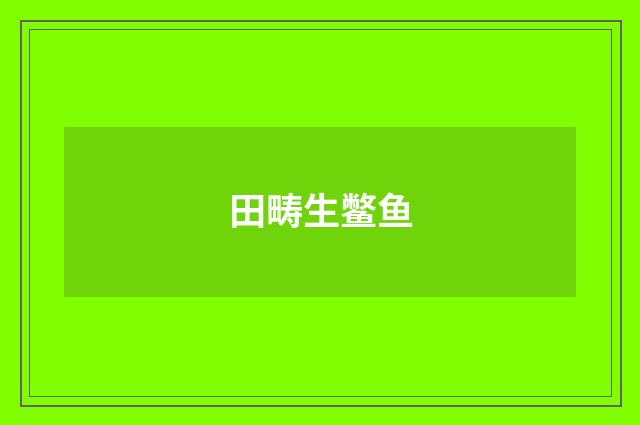 田畴生鳖鱼