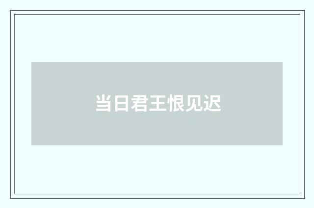当日君王恨见迟