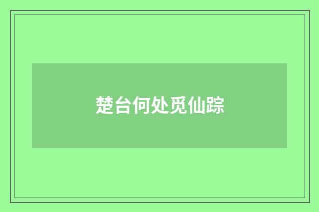 楚台何处觅仙踪