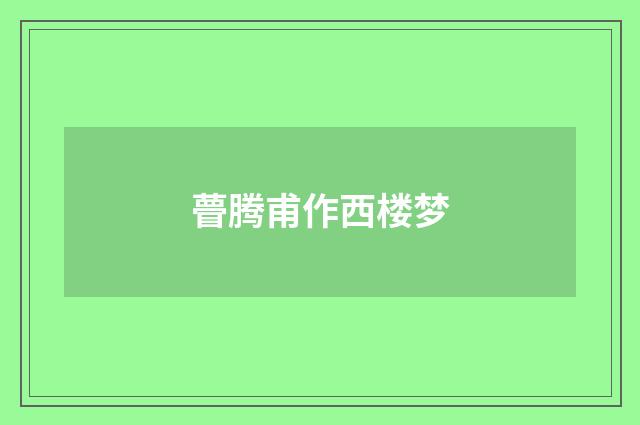 瞢腾甫作西楼梦
