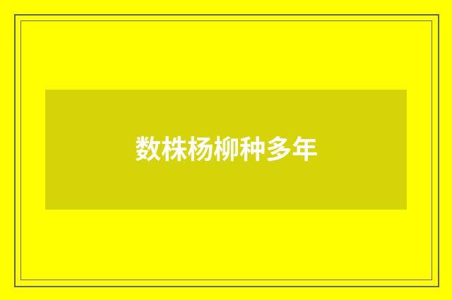 数株杨柳种多年
