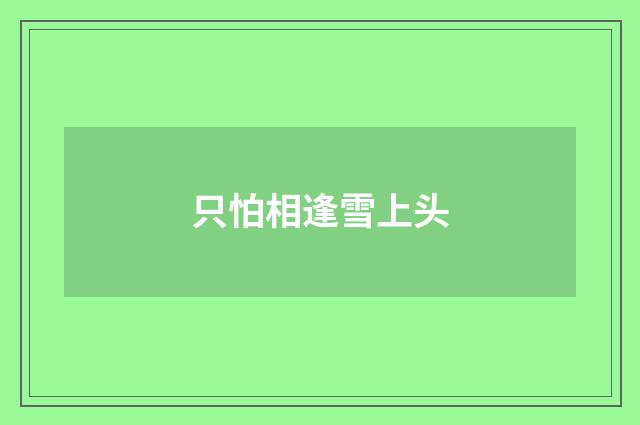 只怕相逢雪上头