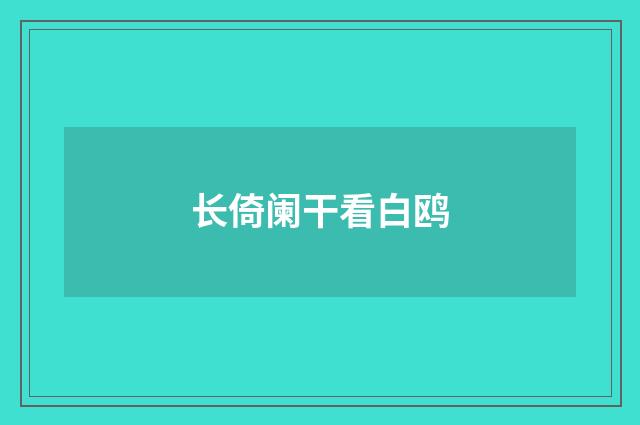 长倚阑干看白鸥