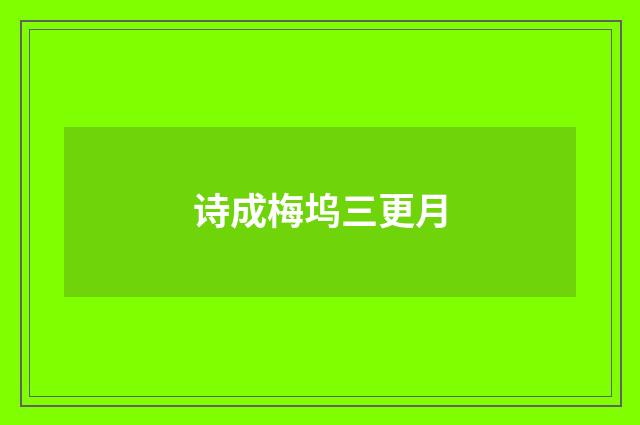 诗成梅坞三更月