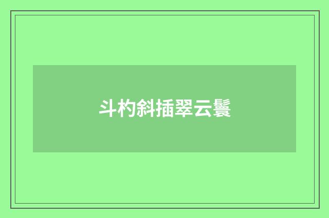 斗杓斜插翠云鬟