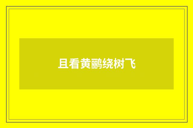 且看黄鹂绕树飞