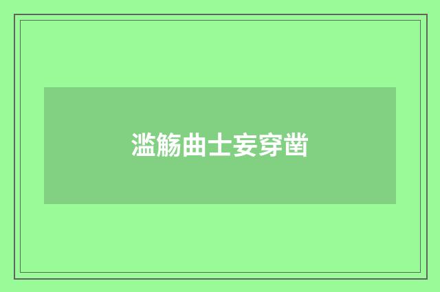 滥觞曲士妄穿凿