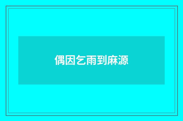 偶因乞雨到麻源