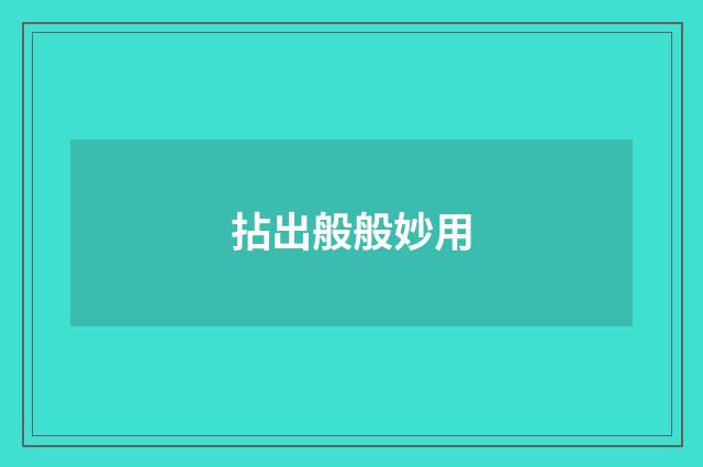 拈出般般妙用