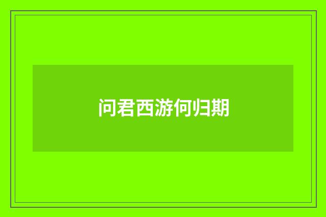 问君西游何归期