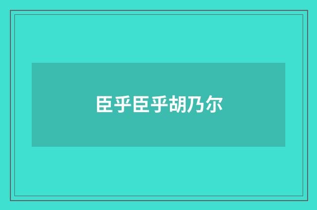 臣乎臣乎胡乃尔