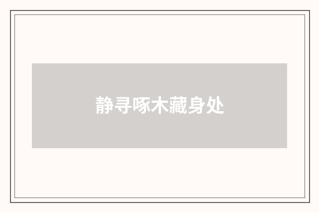 静寻啄木藏身处