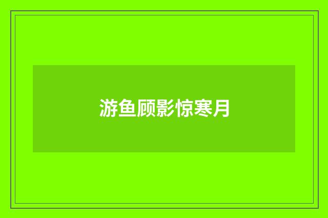 游鱼顾影惊寒月