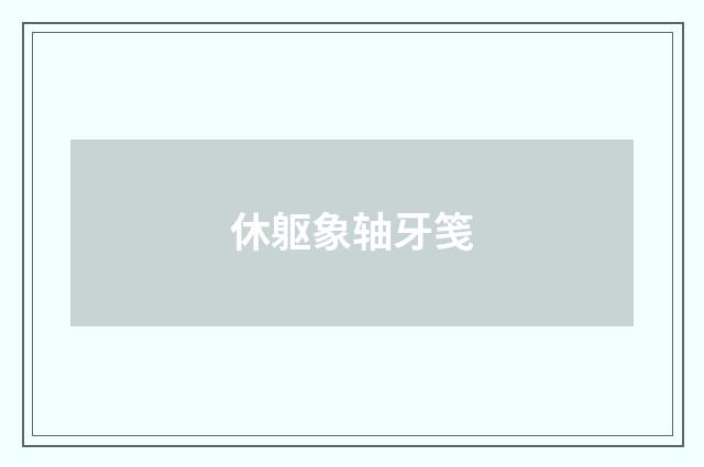 休躯象轴牙笺