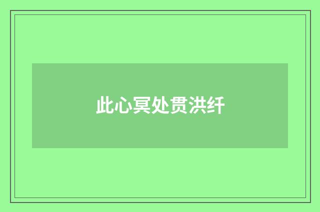 此心冥处贯洪纤