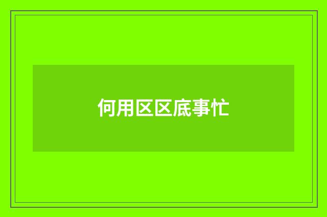 何用区区底事忙