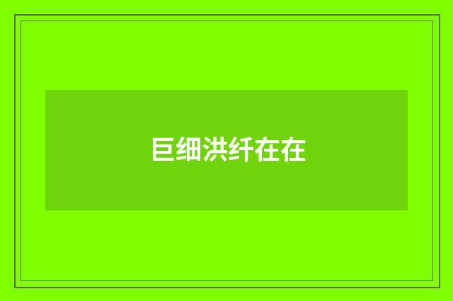 巨细洪纤在在