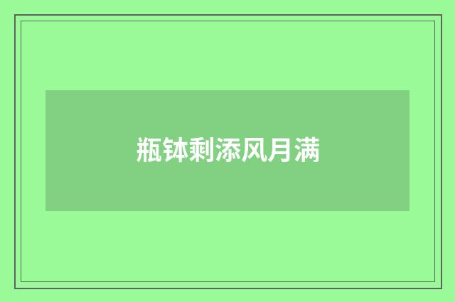 瓶钵剩添风月满