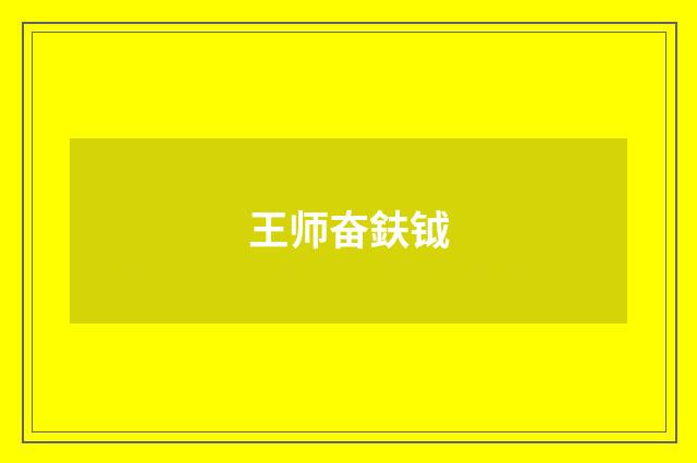 王师奋鈇钺
