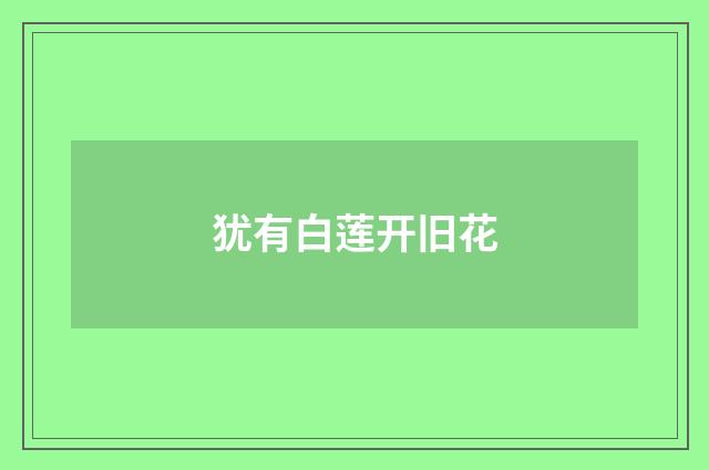 犹有白莲开旧花
