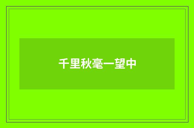 千里秋毫一望中