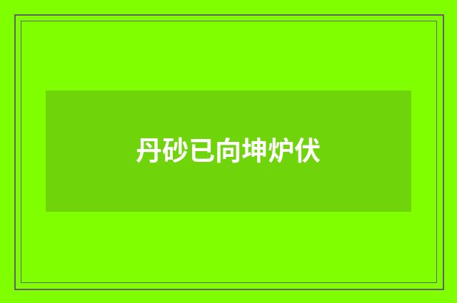 丹砂已向坤炉伏