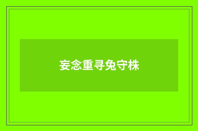 妄念重寻兔守株