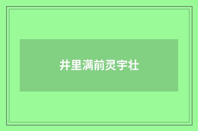 井里满前灵宇壮
