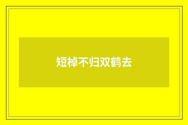 短棹不归双鹤去