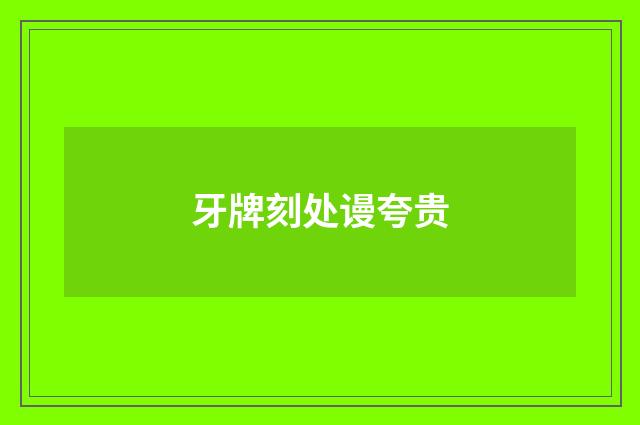 牙牌刻处谩夸贵