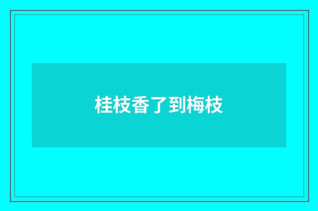桂枝香了到梅枝